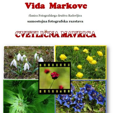 Cvetlična mavrica, fotografska razstava Vide Markovc