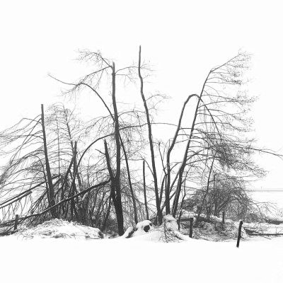 Poškodovani_Žarko Petrovič - Diploma