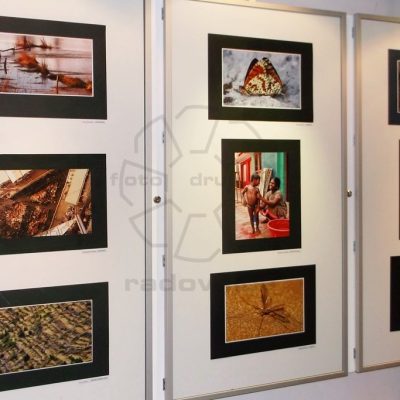 vse foto Vida Markovc