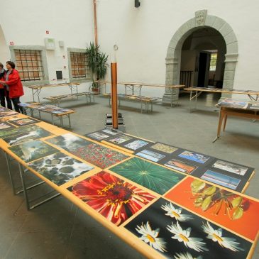Društvena pregledna razstava 2016 – žiriranje
