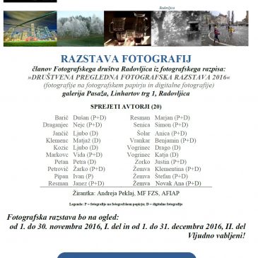 Društvena pregledna razstava 2016/2