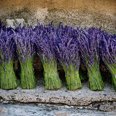 Klementina Žemva - Sivka, diploma