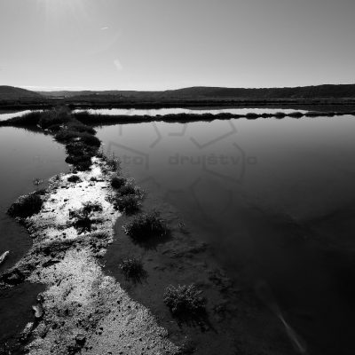 Tomaž Sedej - Soline - 1. nagrada