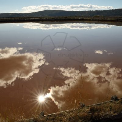 Janez Resman - V luži - diploma