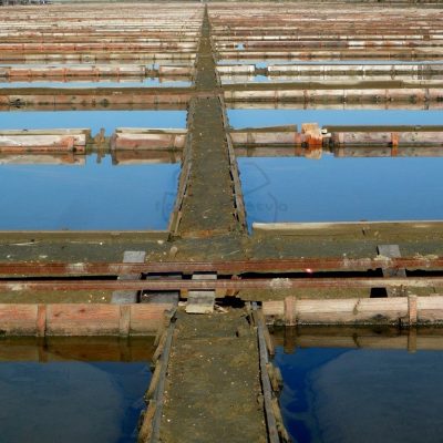 Ljubo Jančič - Soline 1 - diploma