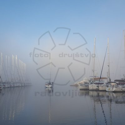 Benjamin Vrankar - Jutro - D