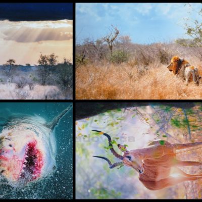 Nejc Draganjec, 2. nagrada