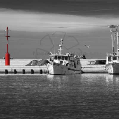 Drago-Vogrinec-Na-pomolu