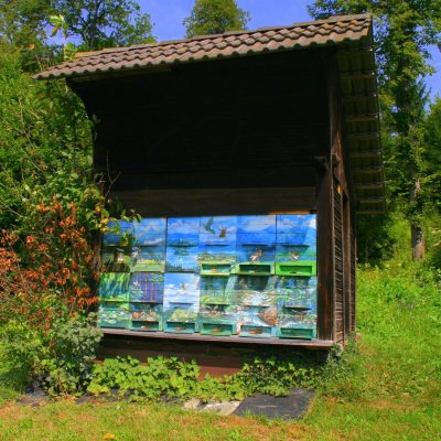 "čebelnjaki" / 3. nagrada / Marjan Resman / Kamna Gorica