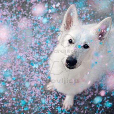 Katja Vogrinec - Rojstni dan