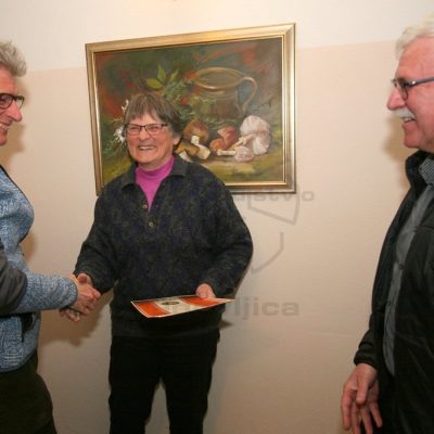 Priznanja za samostojne razstave