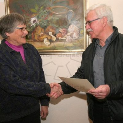 Priznanja za samostojne razstave