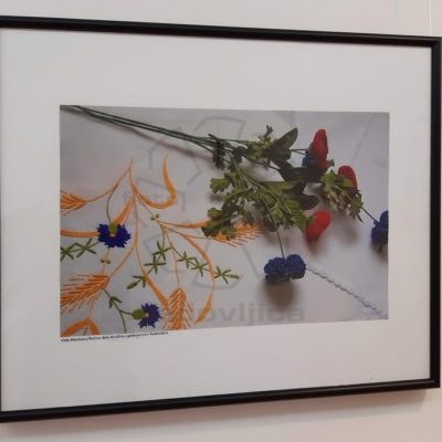 Razstava DEKD Radovljica