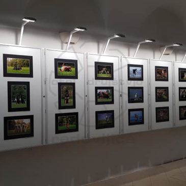 Fotografska razstava “Mundus animalis”