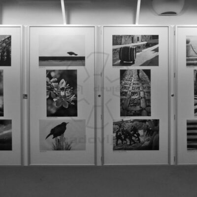 Društvena razstava ČB