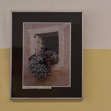 Skupinska fotografska razstava v DSO Naklo