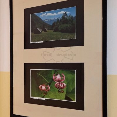 Fotografska razstava