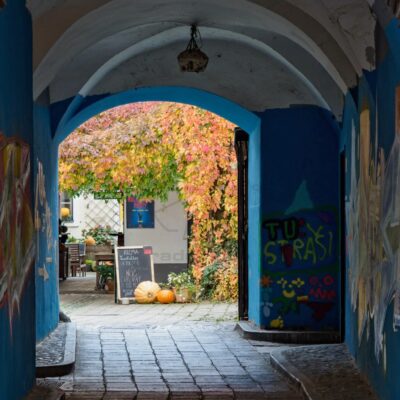 Victor Scorpan: Mestni utrip - D