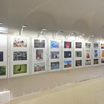 Društvena razstava 2025, drugi del