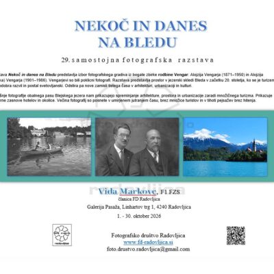 Plakat razstave Vida Markovc